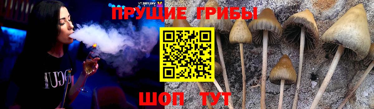 Галлюциногенные грибы MAGIC MUSHROOMS  Псилоцибиновые грибы ЛСД  Вход с VPN  Элиста 